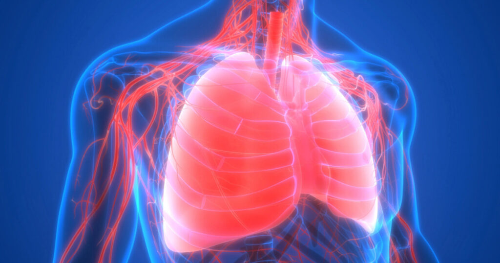 Blog Acupuncture Supports the Respiratory & Immune