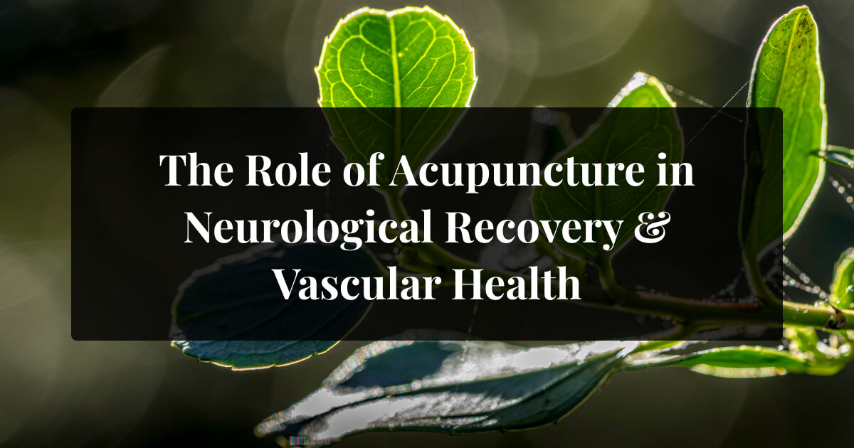 The Role of Acupuncture in Neurological Recovery and Vascular Health