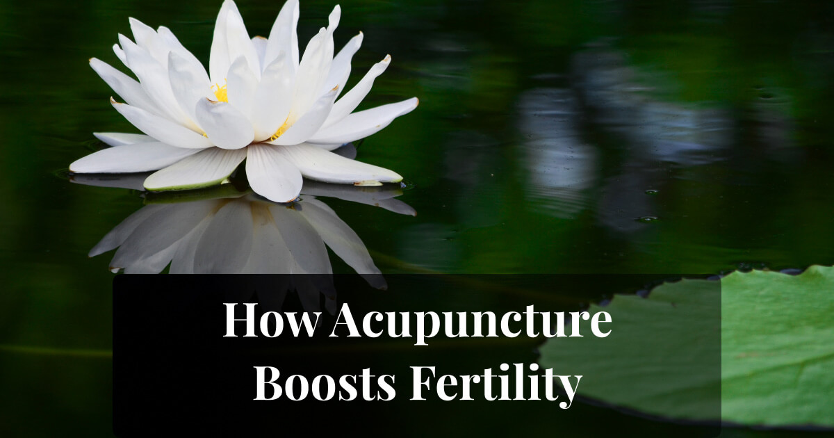 How Acupuncture Boosts Fertility: A Holistic Path to Conception