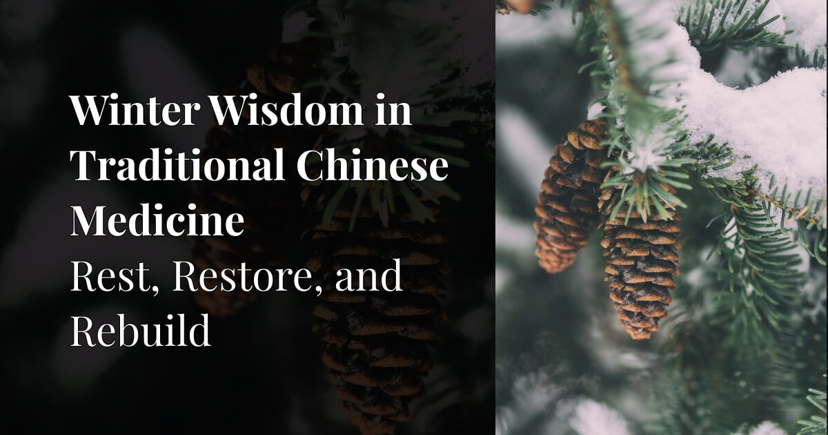 Winter Wisdom in Traditional Chinese Medicine: Rest, Restore, and Rebuild